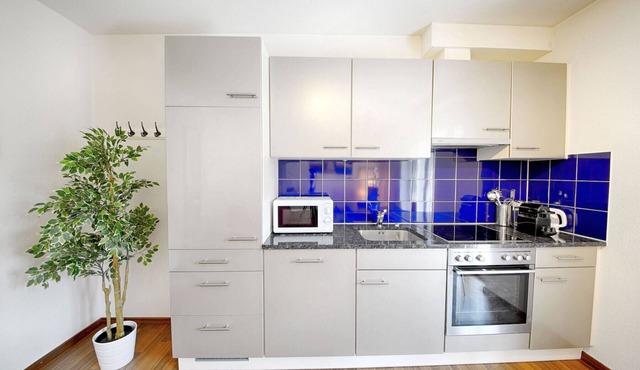 ZH Raspberry lll - Oerlikon HITrental Apartment