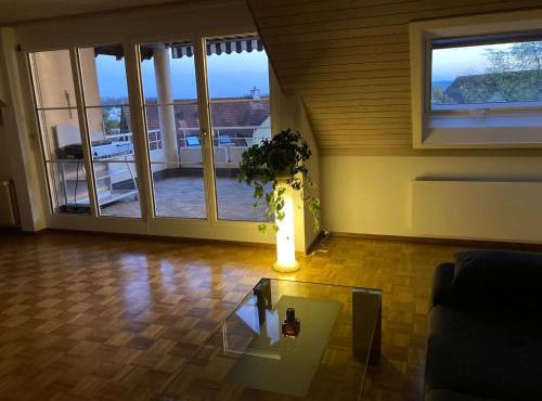 Zimmer direk am Waldrand mit Ausblick über Schaffhausen und Wohnzimmer mit Kamin