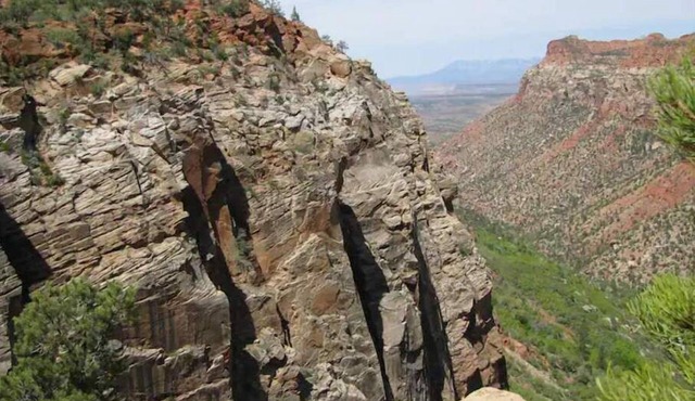Zion Park Getaway