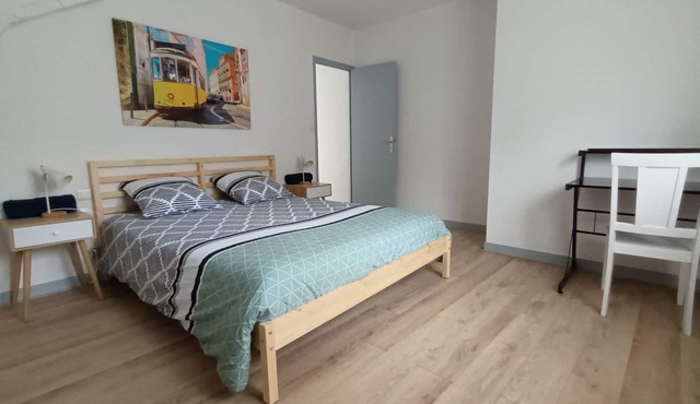 Zola's Duplex Segré