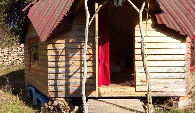 Zome space of energy and vibratory. Forest edge in hamlet in the middle of nature