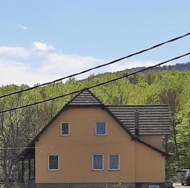 Zoran