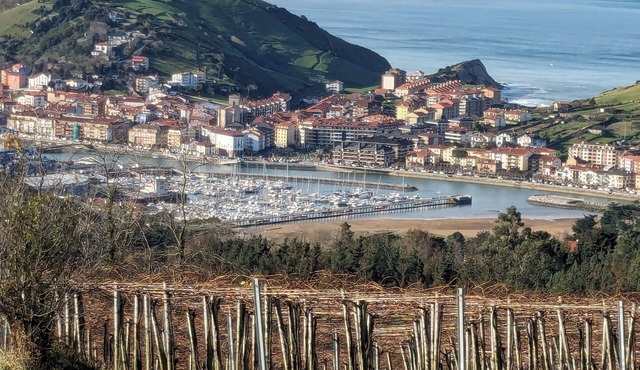 Zumaia Basque Alai