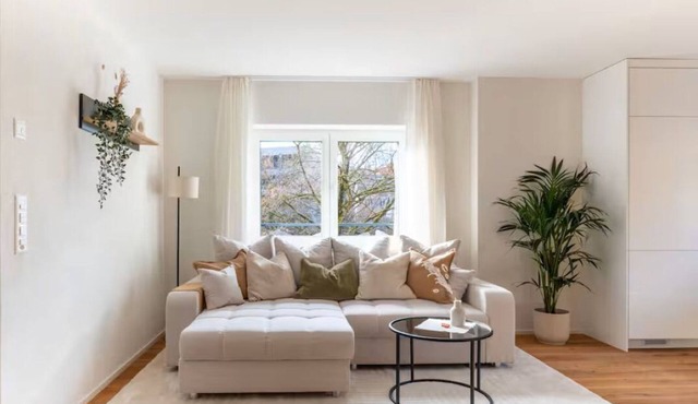 Zurich 2 Bedroom Apt/Parking & Riverside/Desk