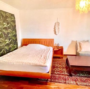 Zurich at the Lake double room in historic house shared Bath