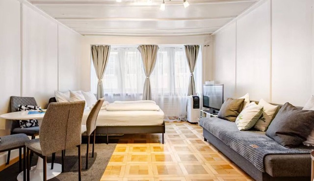 ZURICH City Center Apartment with AC
