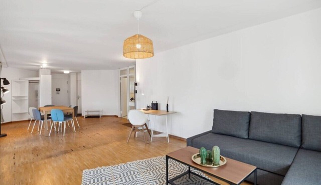 Zurich City Life: Your Apartment Awaits!