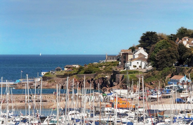 Dolphin Court Brixham 