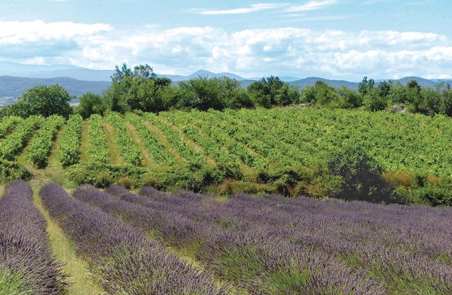 1 bedroom accommodation in Barjac