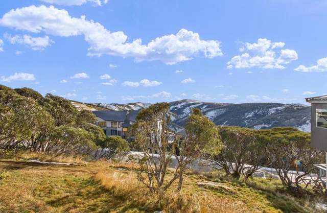 Chalet Hotham 