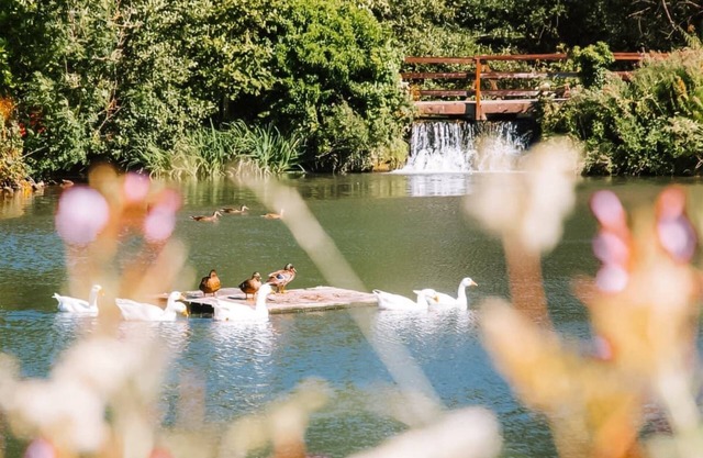 2 bedroom accommodation in Caerwys, Flintshire