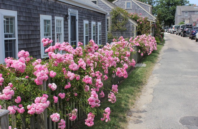 3 bedroom, 2 bathroom newly renovated in the heart of Sconset with new HVAC