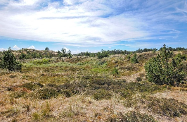 3 bedroom accommodation in Thisted