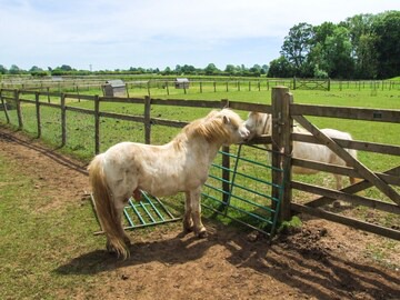 3 bedroom(s) Cottage near Lechlade