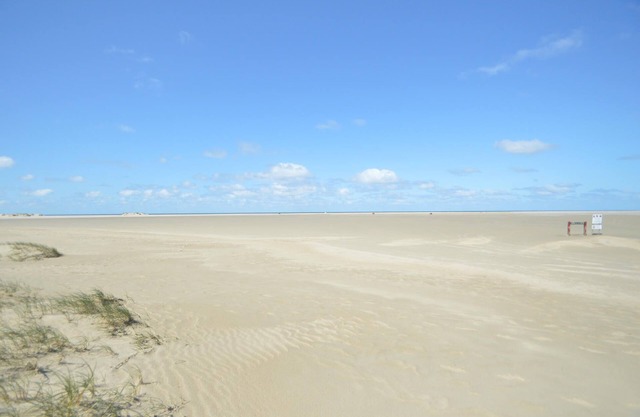 4 bedroom accommodation in Rømø