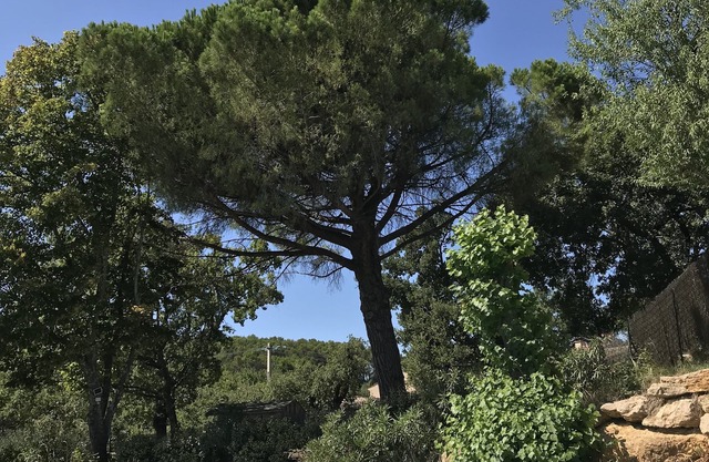 A paradise in Provence. Breathtaking view. Sleeps 9. Swimming pool. Grotte Chauvet.