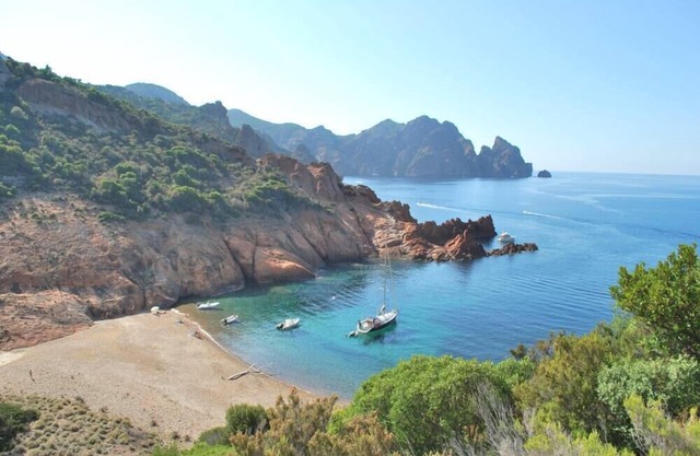 Apartment/ flat - Galeria