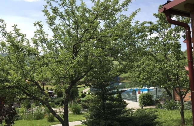Apartment San - with pool; SA4(2) - Rakovica, Lika and Gorski kota, Croatia