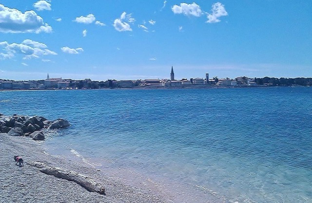 Apartments Marko, (14296), Porec, hr