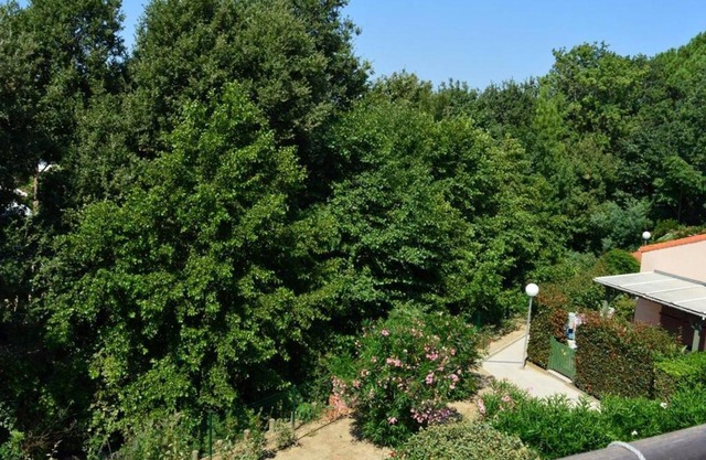 Appartement Argelès-sur-Mer, 1 pièce, 4 personnes - FR-1-225-608