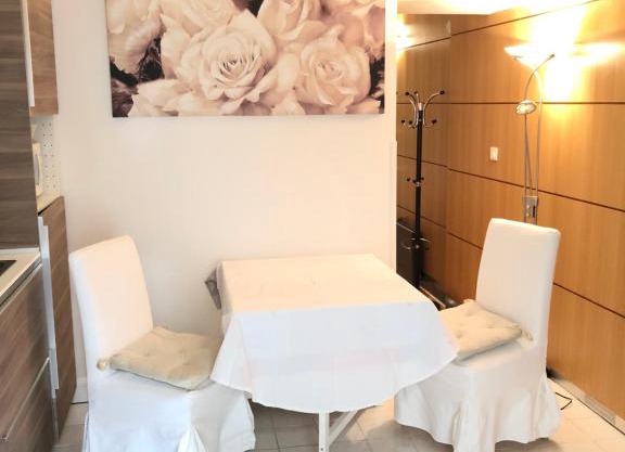 Appartement meublé Cordonbleu proche Tour Eiffel 75015 Paris