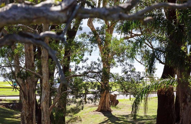 Parklands Gowrie Avenue Tennis Court Child 
