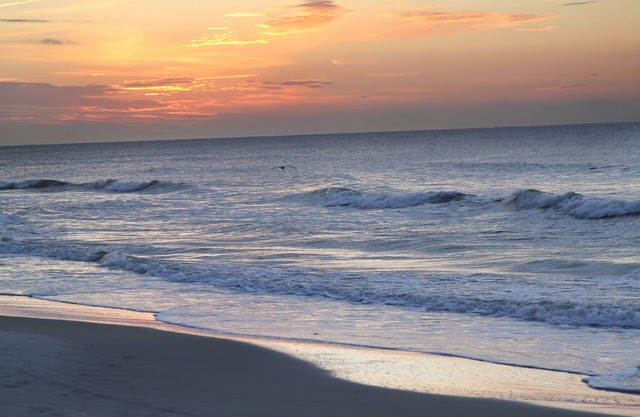 Beach Villas 