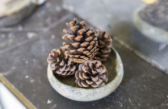 Beautiful apartment 500m from Buttes Chaumont