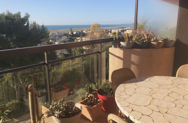 Beautiful apartment with sea view