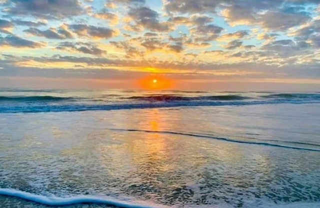 Richard Arms Cocoa Beach 