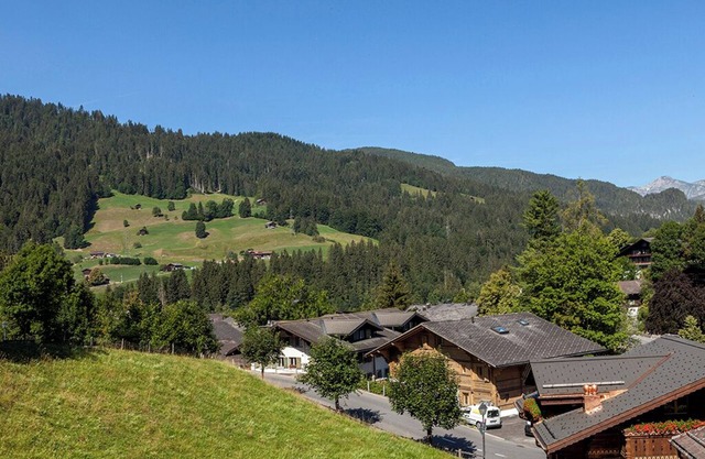 BEAUTIFUL COZY APARTMENT IN GSTAAD