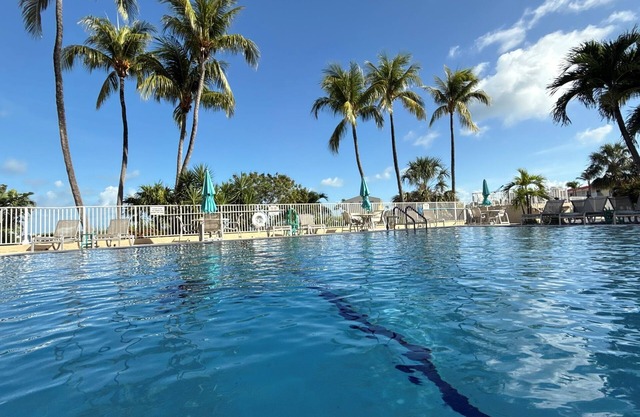 Summer Sea Islamorada 