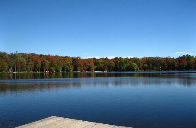 Lakefront 