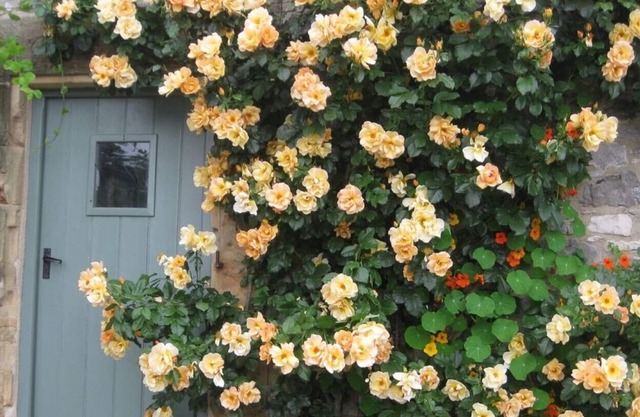 Mill The Heart Of Peak District 