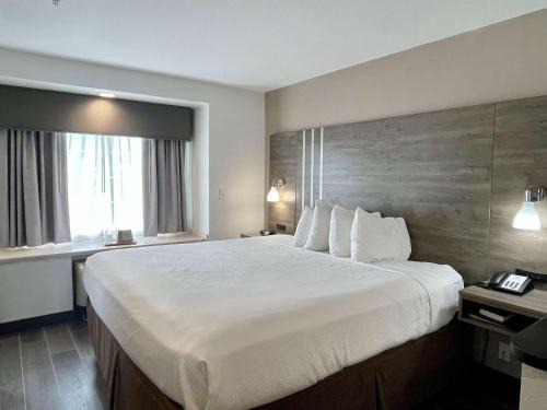 Roanoke Inn 