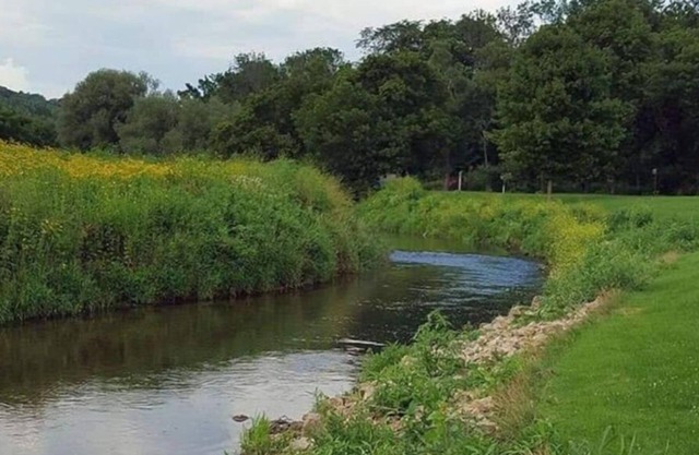 Blakley Hobbit Campground-Tent spot #5