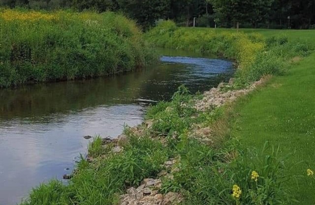 Blakley Hobbit Campground-Tent spot #7