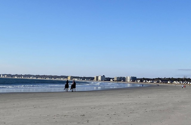 "Blue Heaven"- Airy cottage just steps from Pine Point Beach, Maine