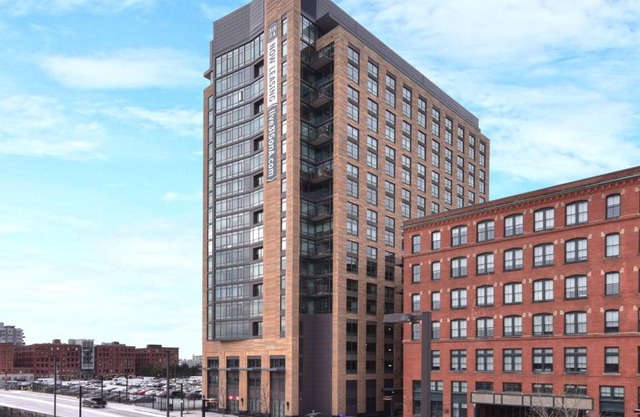 Bluebird in Fort Point