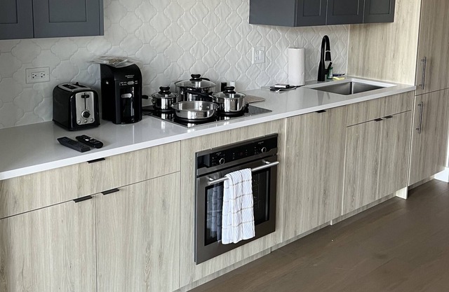 Brand New Modern Gold Coast Studio Steps away from the redline! HUGE Balcony!