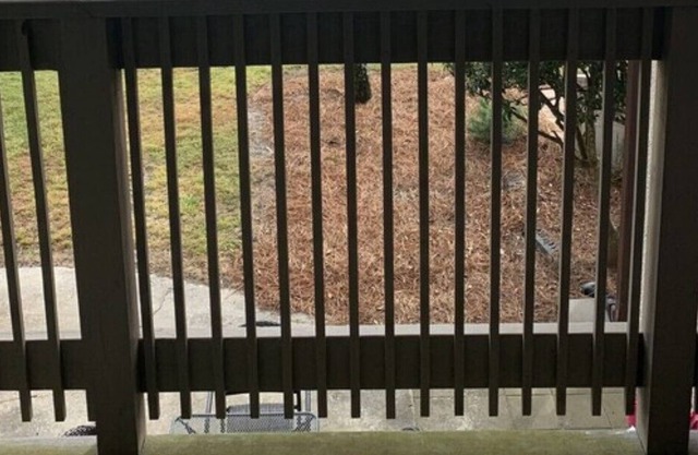 Captain John Fripp Villa 