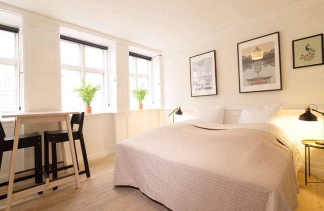 Central Canal Apartment Cph 1