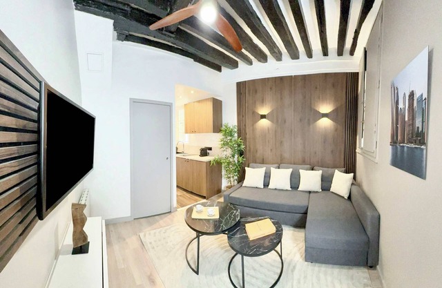 Charming studio near the Louvre Museum