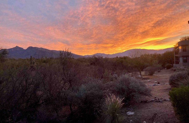 Condo opens to lush desert with unobstructed views of Catalina-Rincon mtns