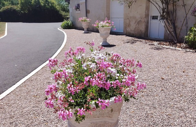 Villa Frédille Persons 