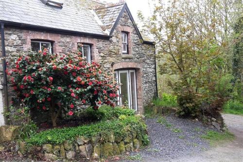 Cwmbrandy Cottage 
