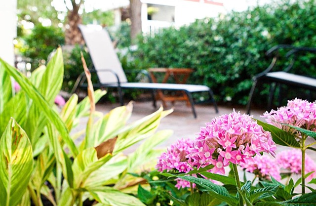 Desoto Beach Gardens 