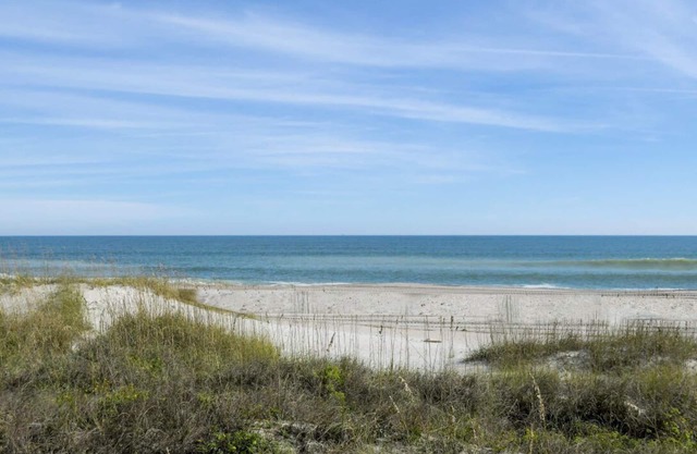 Coral Sands Fernandina Beach 
