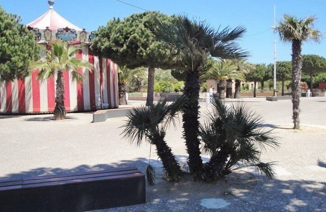 Edge of the beach of Mar Vivo