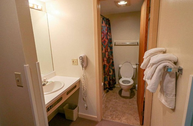 Efficiency with Sleeper Sofa only 214